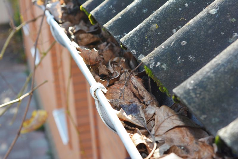 Clogged Gutter Blockage