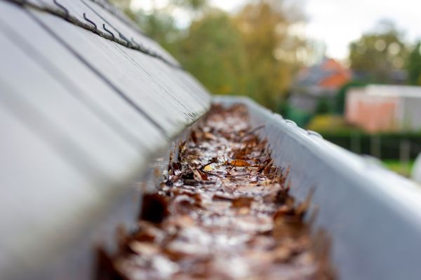 Commercial Gutter Cleaning in Colorado Springs