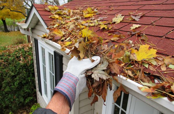 Rain Gutter Cleaning Service in Colorado Springs