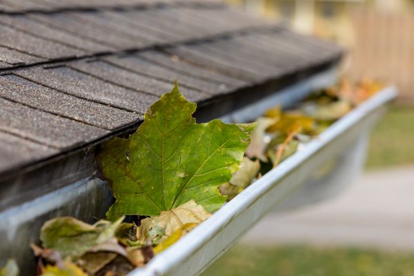 Gutter System Cleaning in Colorado Springs