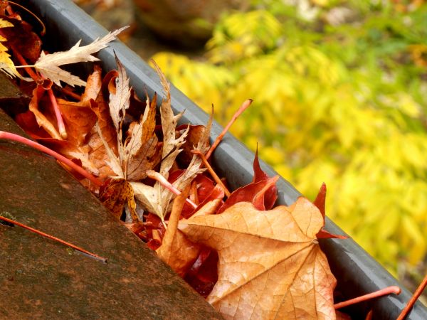 Roof Gutter Debris Removal in Colorado Springs
