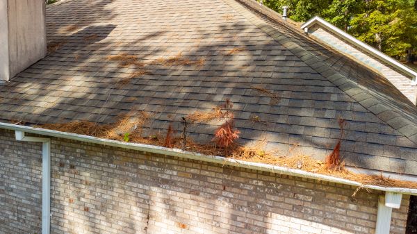 Gutter Pine Needle Removal in Colorado Springs