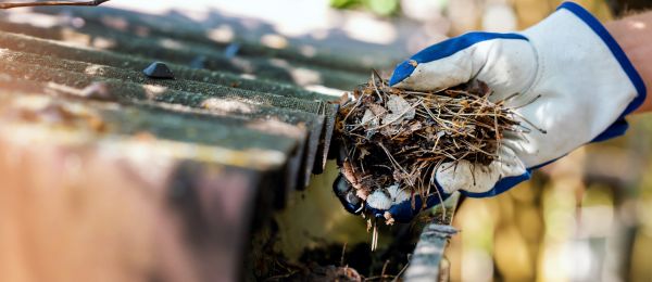 Pine Needle Gutter Cleaning in Colorado Springs